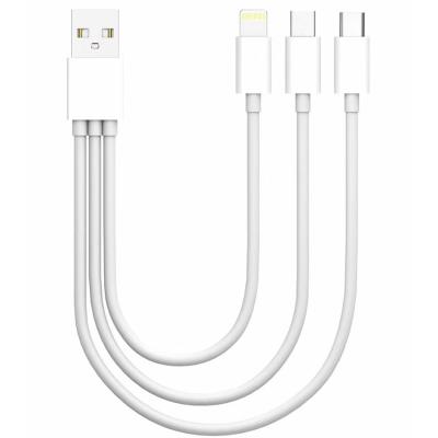 Ally 3 İn 1 Usb Type-C Micro Usb Ve İphone İçin Mini Usb Şarj Kablosu