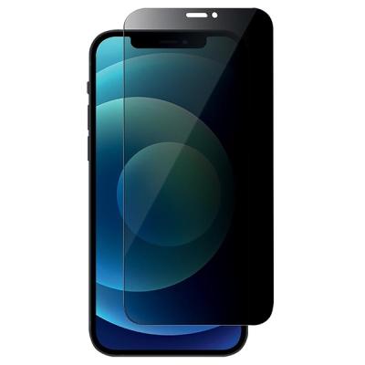 iPhone 12 Pro Max Privacy Hayalet Tempered Cam Ekran Koruyucu