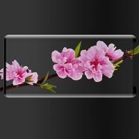 Samsung Note 9 Full Glue Yapışkanlı 3D Cam Ekran Koruyucu