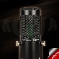 AQ210 Condenser Stüdyo Profesyonel Kayıt ve Yayın Mikrofonu Studio