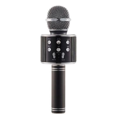 Ws-858 Bluetooth Mikrofon Sihirli Karaoke Aux Sd Card Fm Radyo